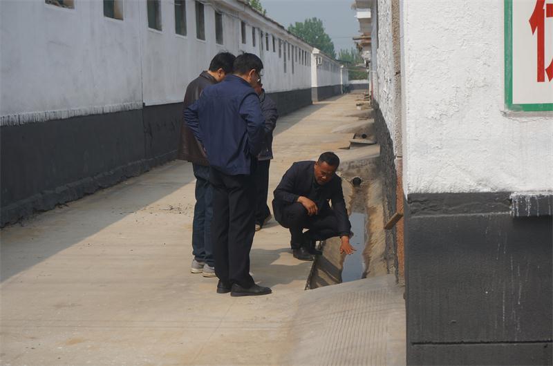 西楊莊:白云天上飄 水環(huán)莊中繞(圖13)