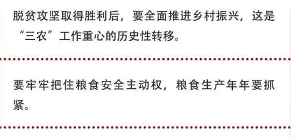 2020年中央農(nóng)村工作會(huì)議精神速覽！(圖2)