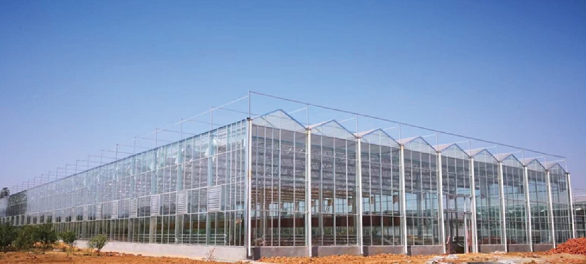 信橋鋼構(gòu)：打卡蒙陰農(nóng)業(yè)溫室大棚、青州黑牛養(yǎng)殖基地！(圖2)